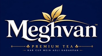 MEGHVAN trademark artwork
