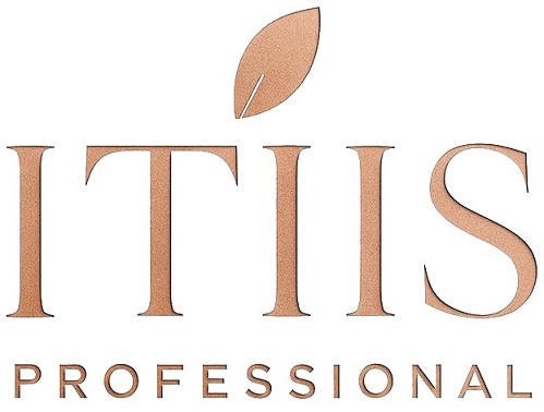 ITIIS PROFESSIONAL trademark artwork