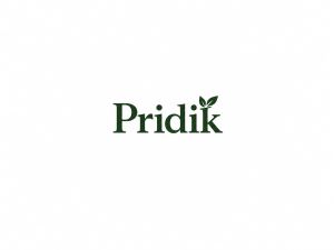 Pridik trademark artwork