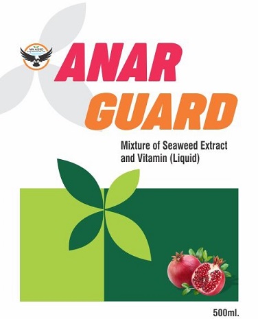 ANAR GUARD trademark artwork