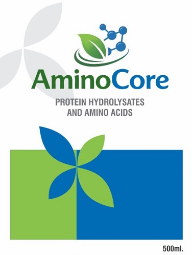 AMINOCORE trademark artwork