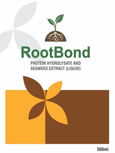 ROOTBOND trademark artwork