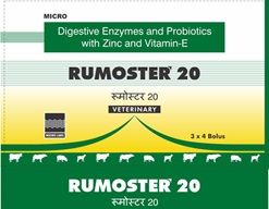 RUMOSTER trademark artwork