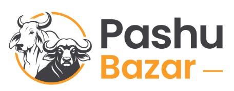 Pashu Bazar With device of Cow and Buffalo trademark artwork
