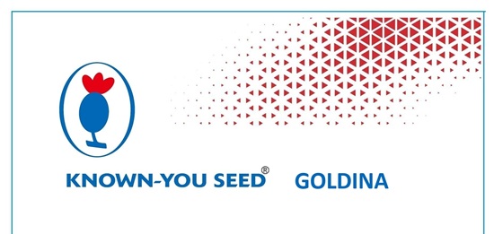 KNOWN YOU SEED GOLDINA trademark artwork