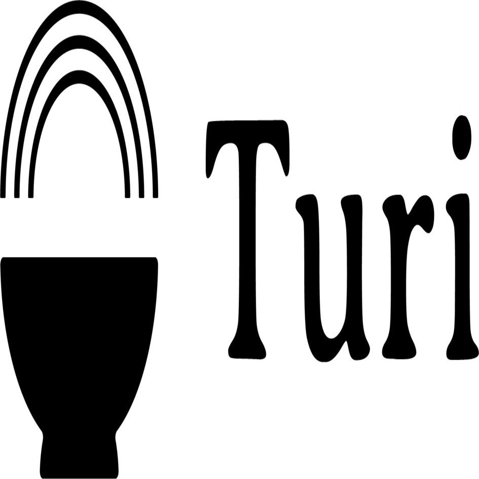 Turi trademark artwork
