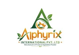 ALPHYRIX INTERNATIONAL PVT. LTD WITH DEVICE OF A trademark artwork