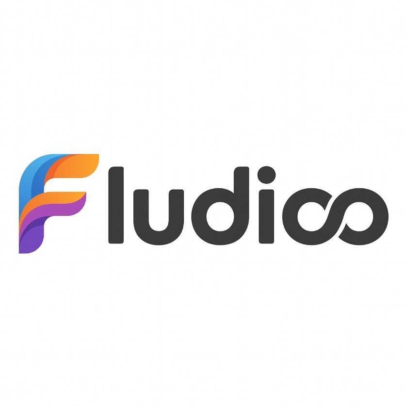 Fludioo trademark artwork