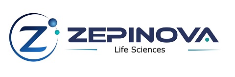 ZEPINOVA LIFESCIENCES LOGO OF Z trademark artwork
