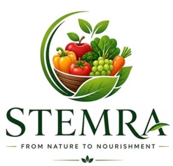 STEMRA- FROM NATURE TO NOURISHMENT trademark artwork