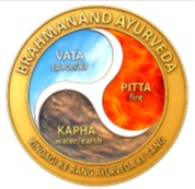 BRAHMANAND AYURVEDA trademark artwork