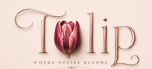 TULIP;WHERE DESIRE BLOOMS trademark artwork