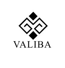 VALIBA trademark artwork