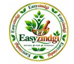 EASYZINDGI WITH DEVICE OF EZ trademark artwork