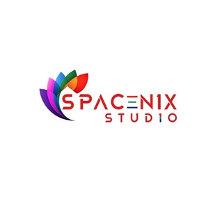 SPACENIX STUDIO trademark artwork