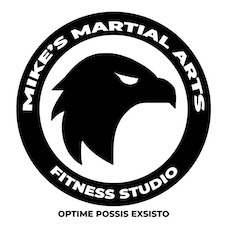 Mike Martial Arts logo trademark artwork