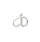 Javitri Devi & Sons Enterprises trademark artwork
