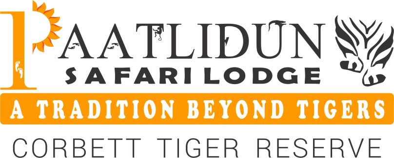 PAATLIDUN SAFARI LODGE (Logo) trademark artwork