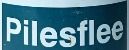 Pilesflee trademark artwork