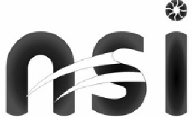 nsi trademark artwork