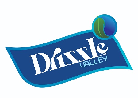 Drizzle VALLEY trademark artwork