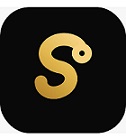 SCALEVO MEDIA LOGO trademark artwork