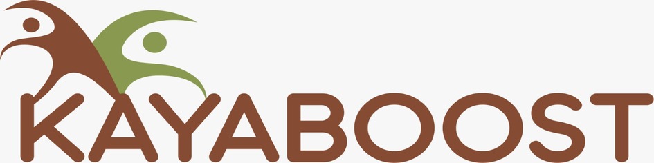 KAYABOOST trademark artwork