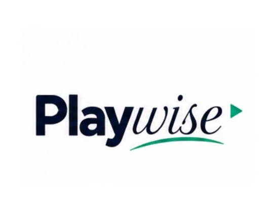 PlayWise trademark artwork