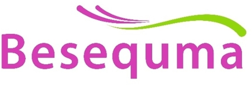 Besequma trademark artwork