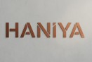HANIYA trademark artwork
