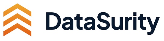 DataSurity trademark artwork