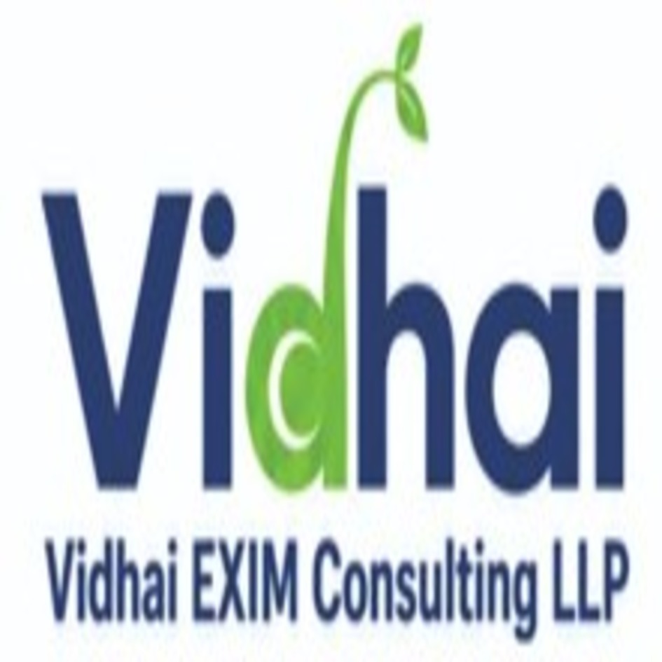 VIDHAI EXIM CONSULTING LLP trademark artwork