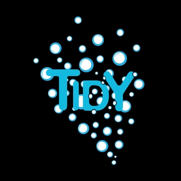 TIDY trademark artwork