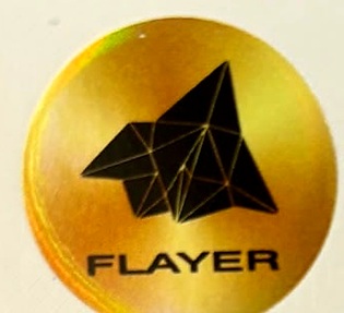 FLAYER trademark artwork