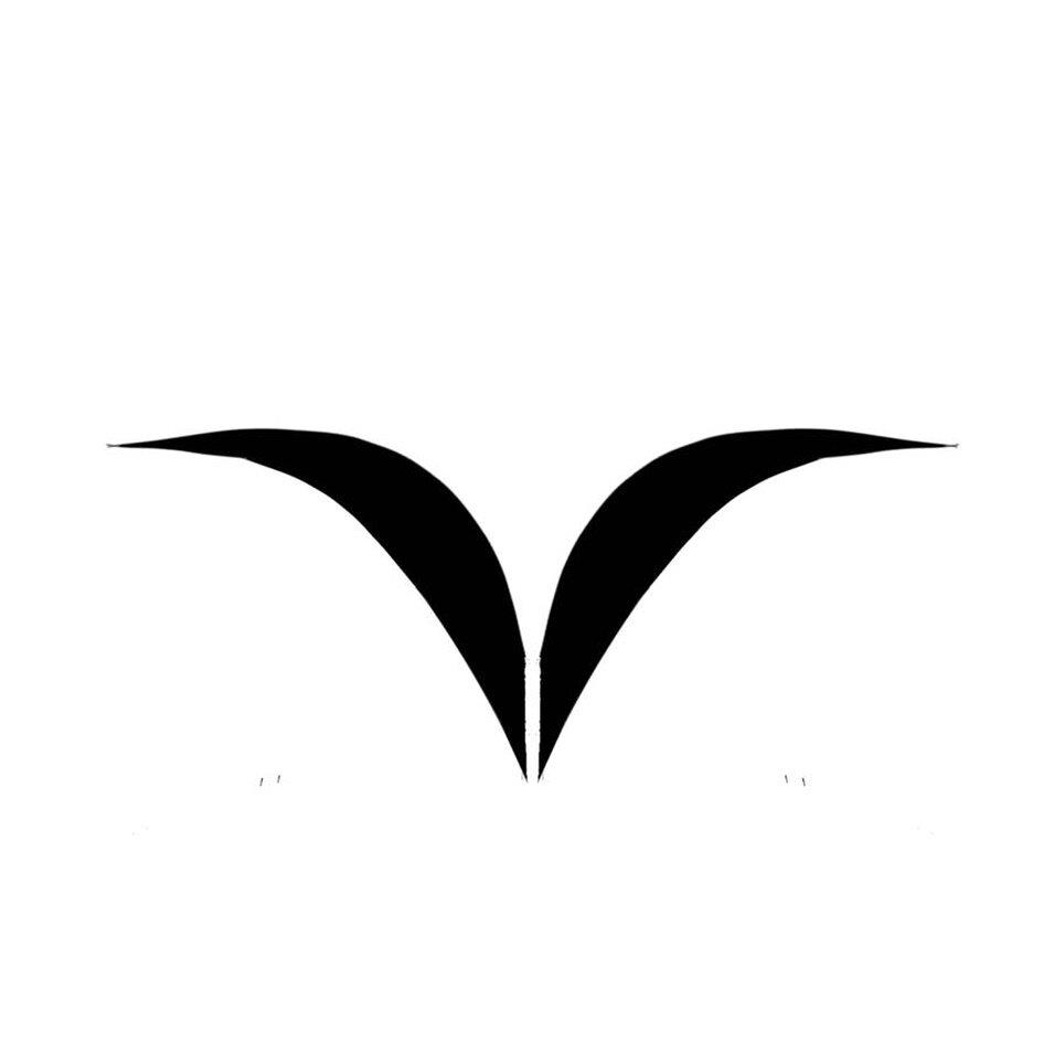PULHORS VaVe trademark artwork