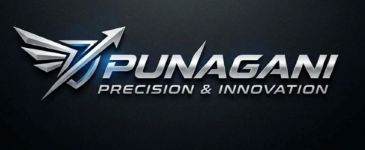 PUNAGANI -"PRECISION & INNOVATION" trademark artwork