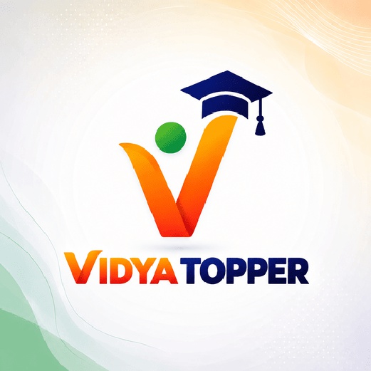 VIDYA TOPPER trademark artwork