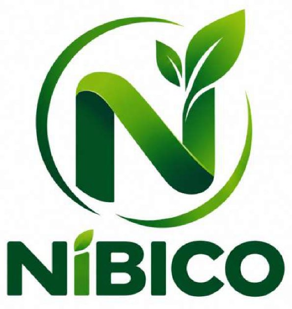 NiBICO [WITH THE DEVICE OF N] trademark artwork