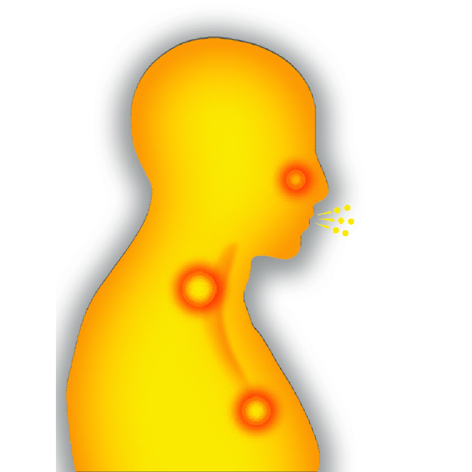 Human Figure Zedex Natura trademark artwork