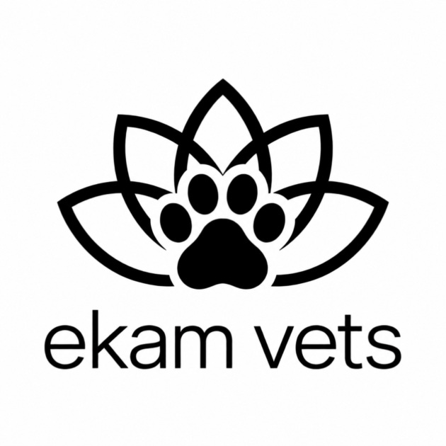 EKAM VETS trademark artwork