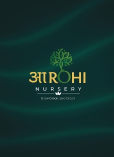 AAROHI NURSERY trademark artwork