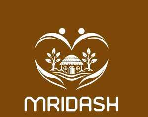 MRIDASH trademark artwork