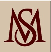MS trademark artwork