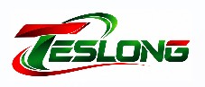 TESLONG trademark artwork