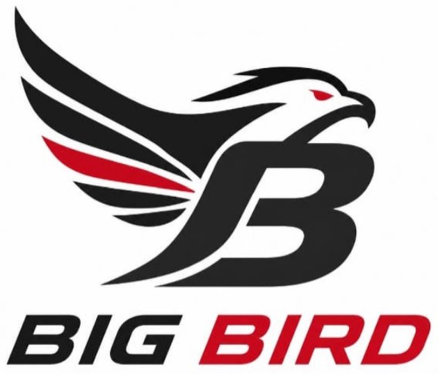 B BIG BIRD trademark artwork
