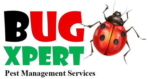 BUG XPERT PEST MANAGEMENT SERVICES trademark artwork