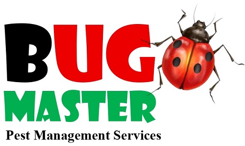 BUG MASTER PEST MANAGEMENT SERVICES trademark artwork