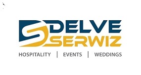 DELVE SERWIZ trademark artwork