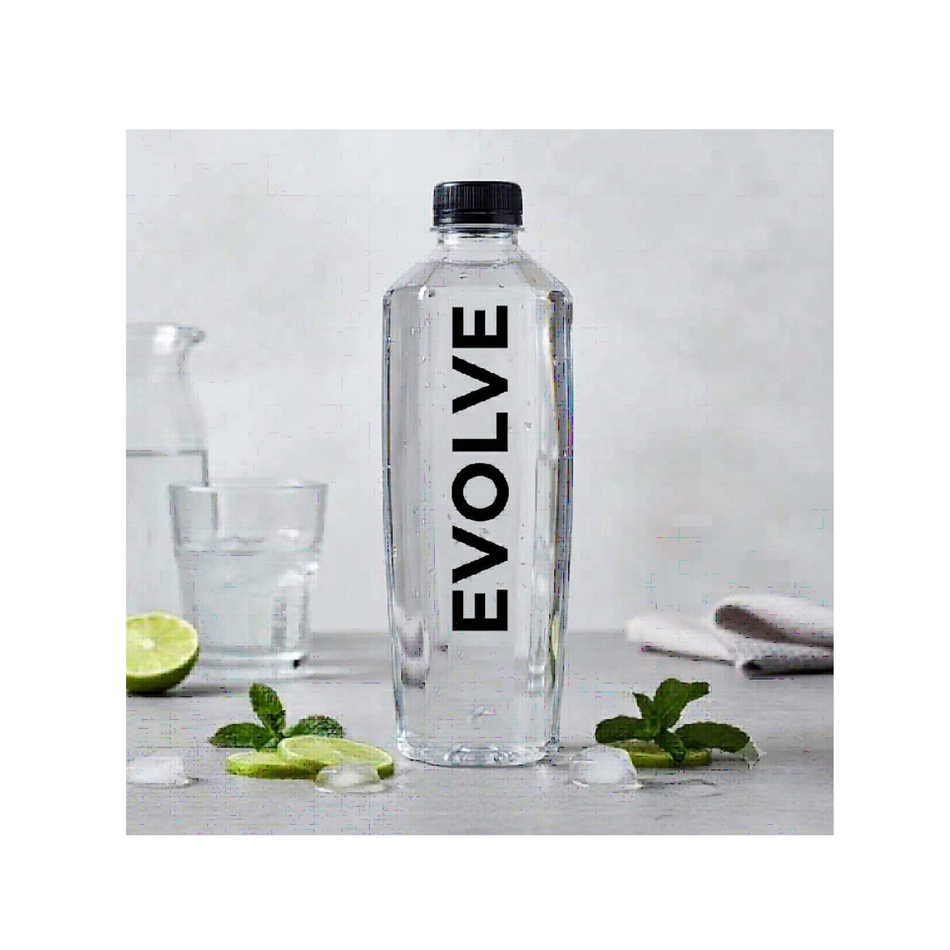 ARTISTIC DEVICE OF EVOLVE trademark artwork