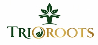 TRIOROOTS trademark artwork